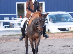 IMG_8105_web
